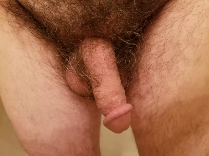 My 62 yo hairy cut semi, one more time. by HairyExhibitionist