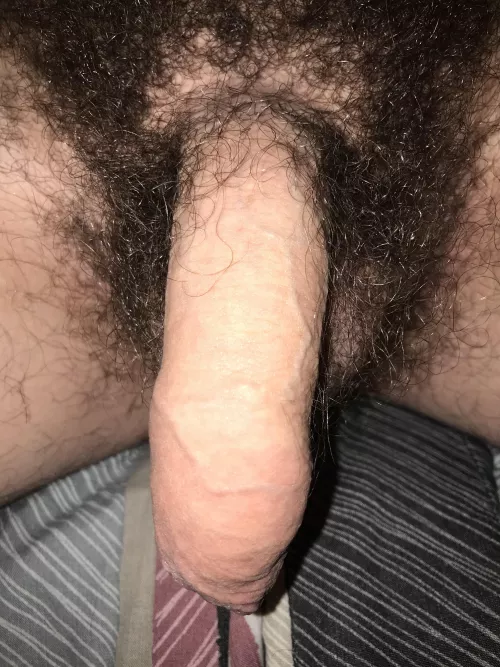 My american softie by Mkellum352