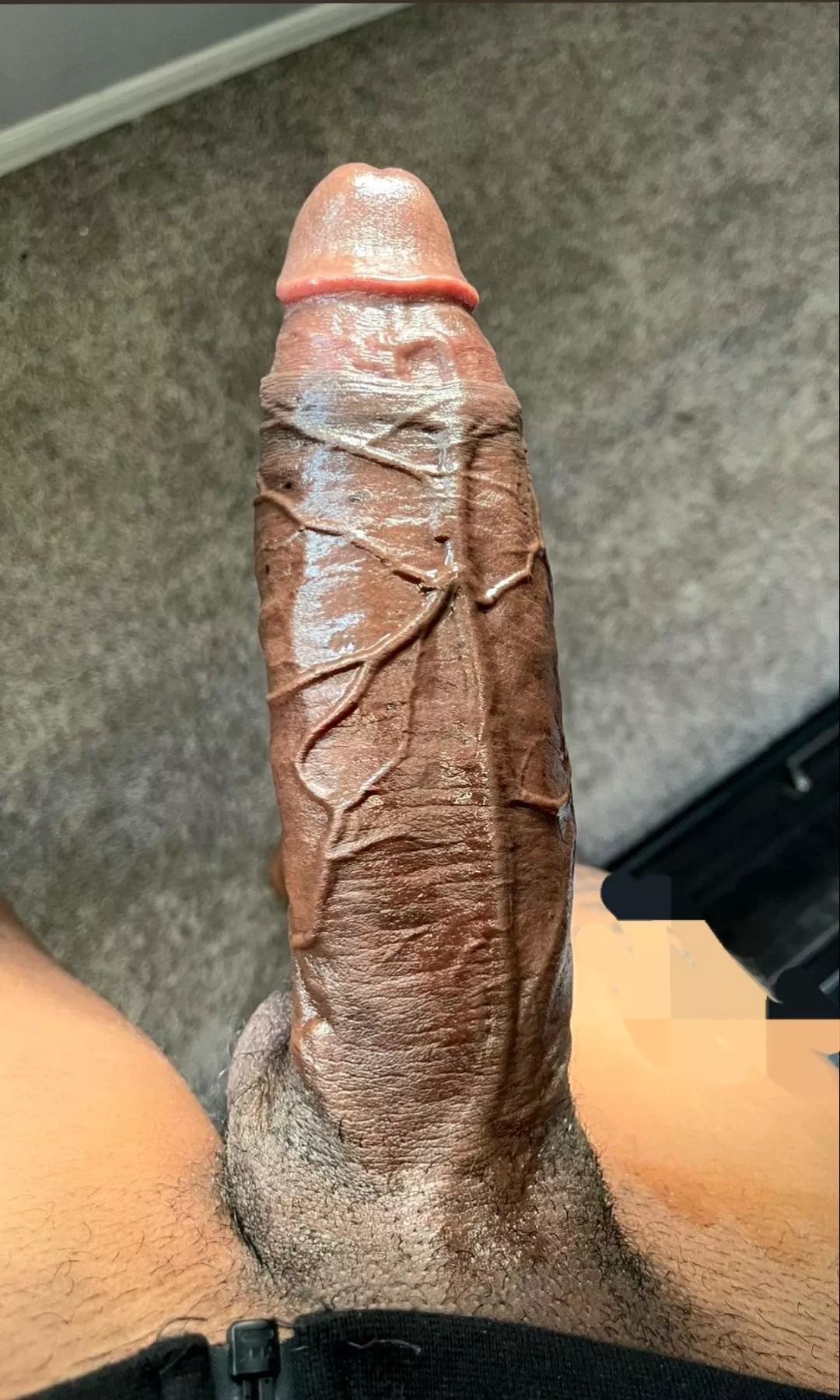 My BBC lovers in the DMV HMU! posted by rezavordog76