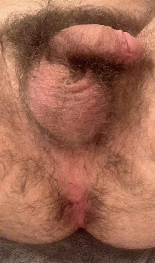 my bear milking apparatus 😋 by sixinchvers