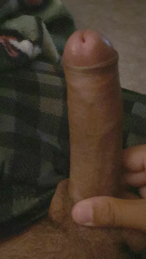 My black uncircumcised dick by qtwoke
