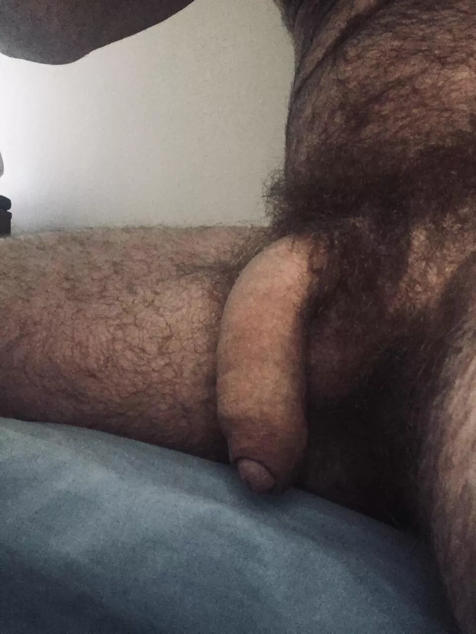 My boyd and crotch are so hairy. posted by frontviolence