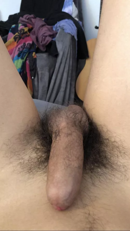 My boyfriend’s [23] thick hairy uncut cock! by WrestleYuToHuskerDu
