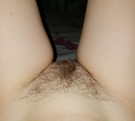 My bush is getting bigger and bigger🤩 by Emily_GoodSlut