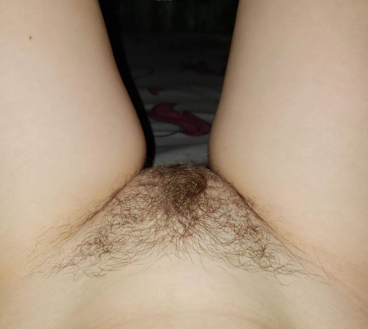 My bush is getting bigger and bigger🤩 posted by Emily_GoodSlut