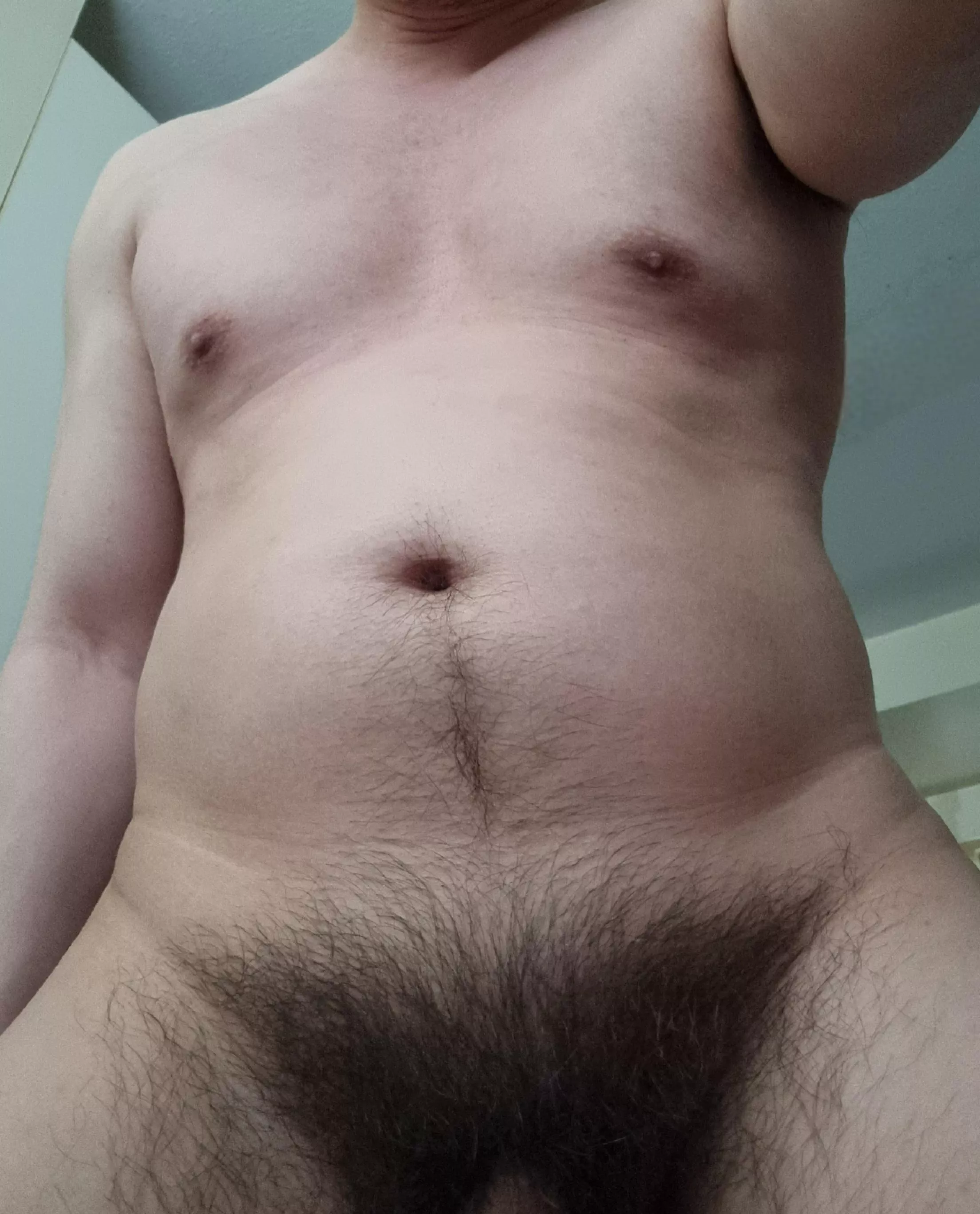 My bush posted by Savings-Supermarket8