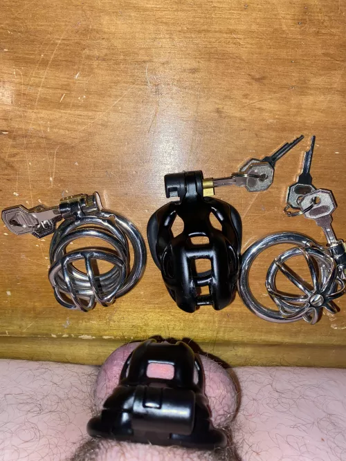 My cages by Beneficial_Bit483