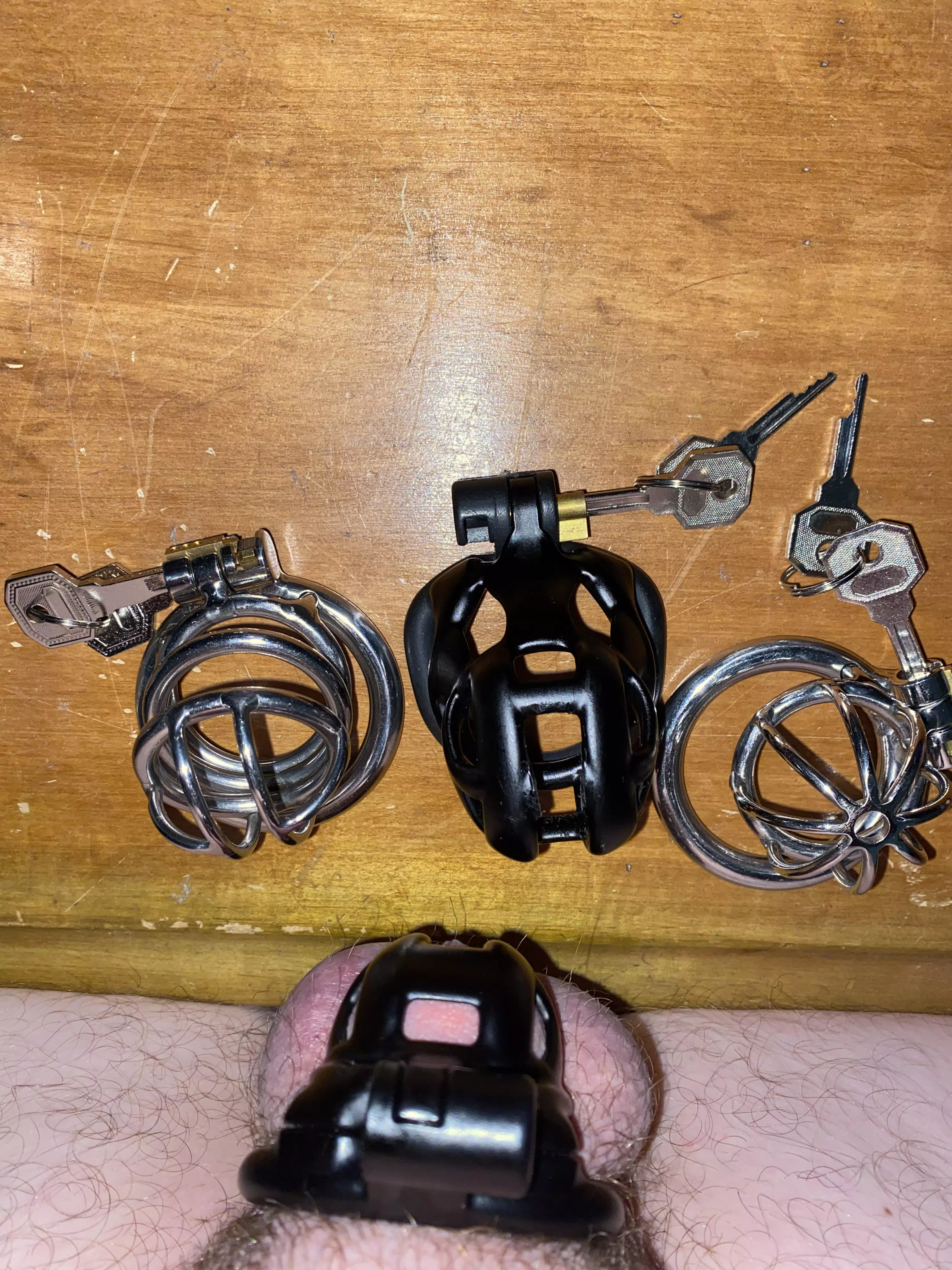 My cages posted by Beneficial_Bit483