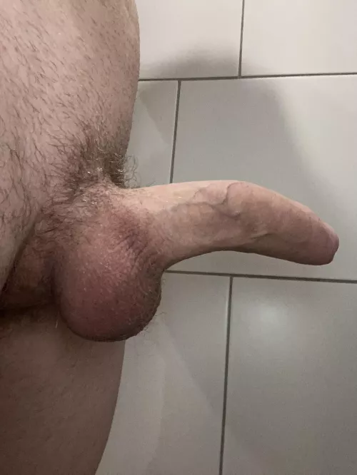 My cock curves away for full access to my balls ;) by wandering-lust
