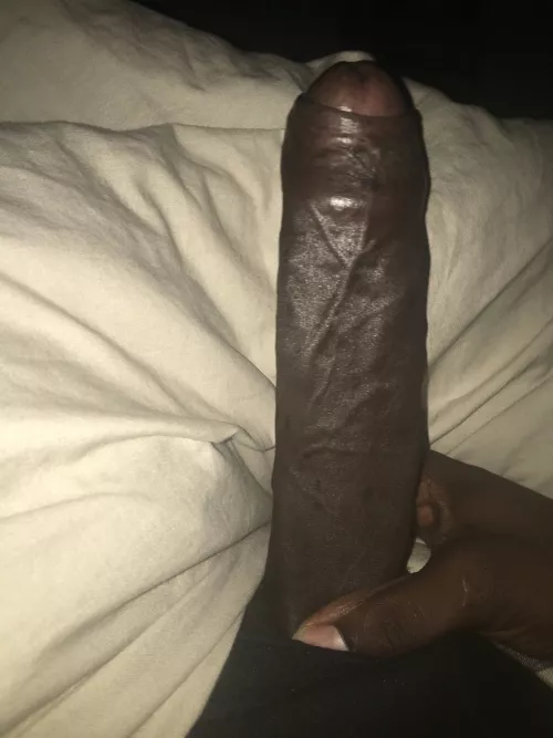 My cock needs some female attention, hmu if you like what you see by TincJugg