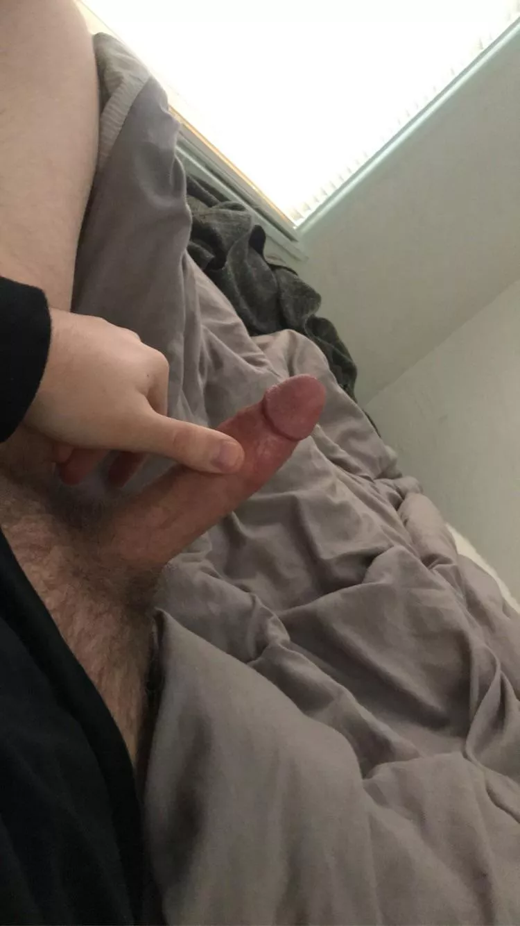 My cut cock posted by Zebbiolo