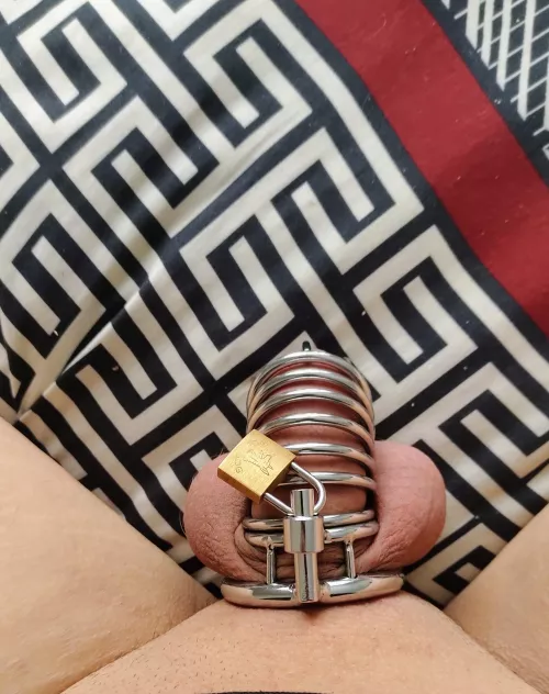 My cute little shaved locked up cock. by -Slut-Dragon