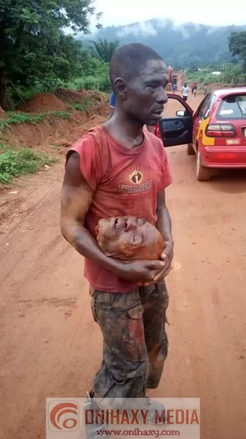 My cute shark baby by ScraggysLefNut