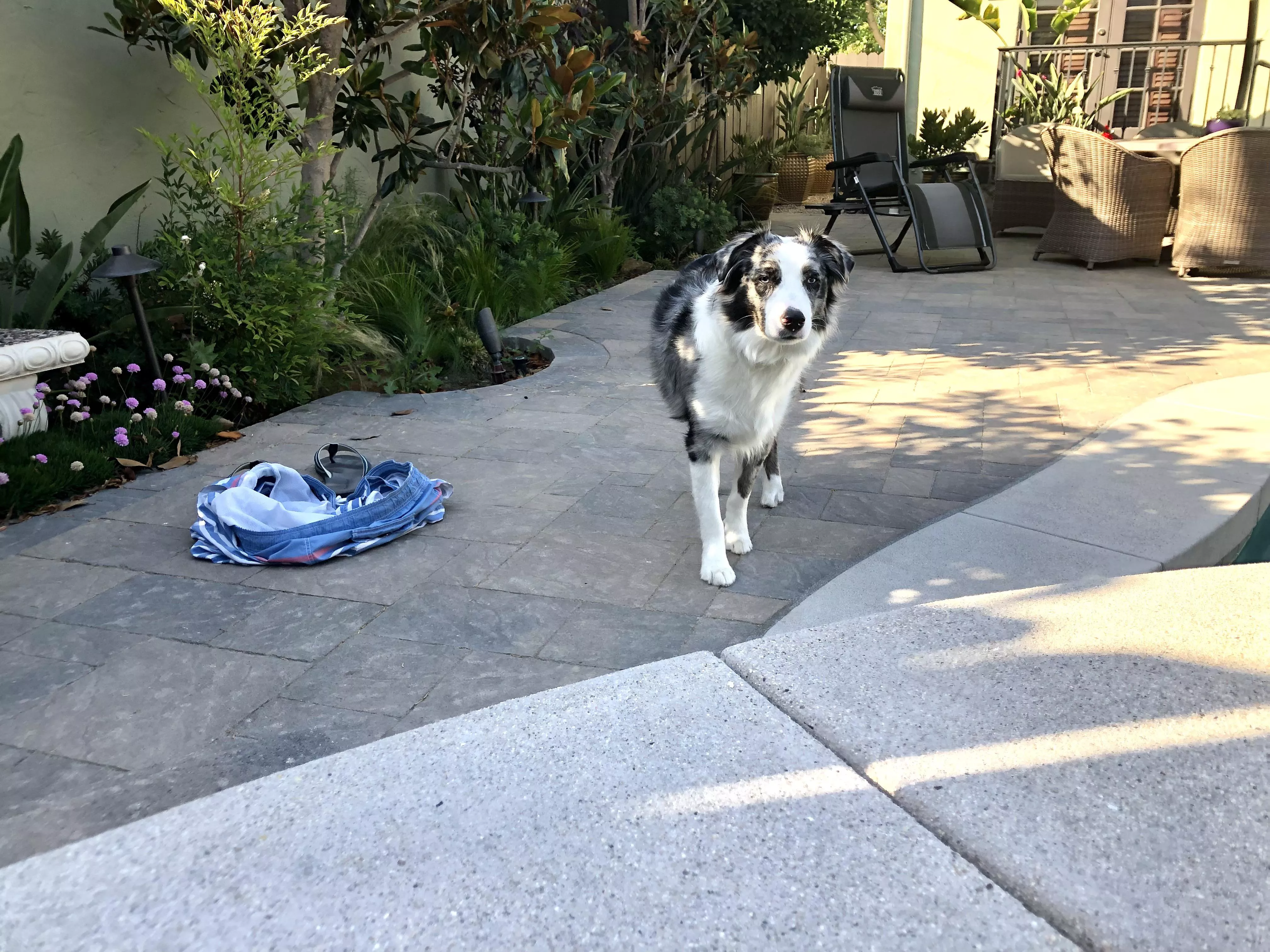 “My dad’s in the pool again. Ask me how I know.” Toby Cooper posted by sky1959walker