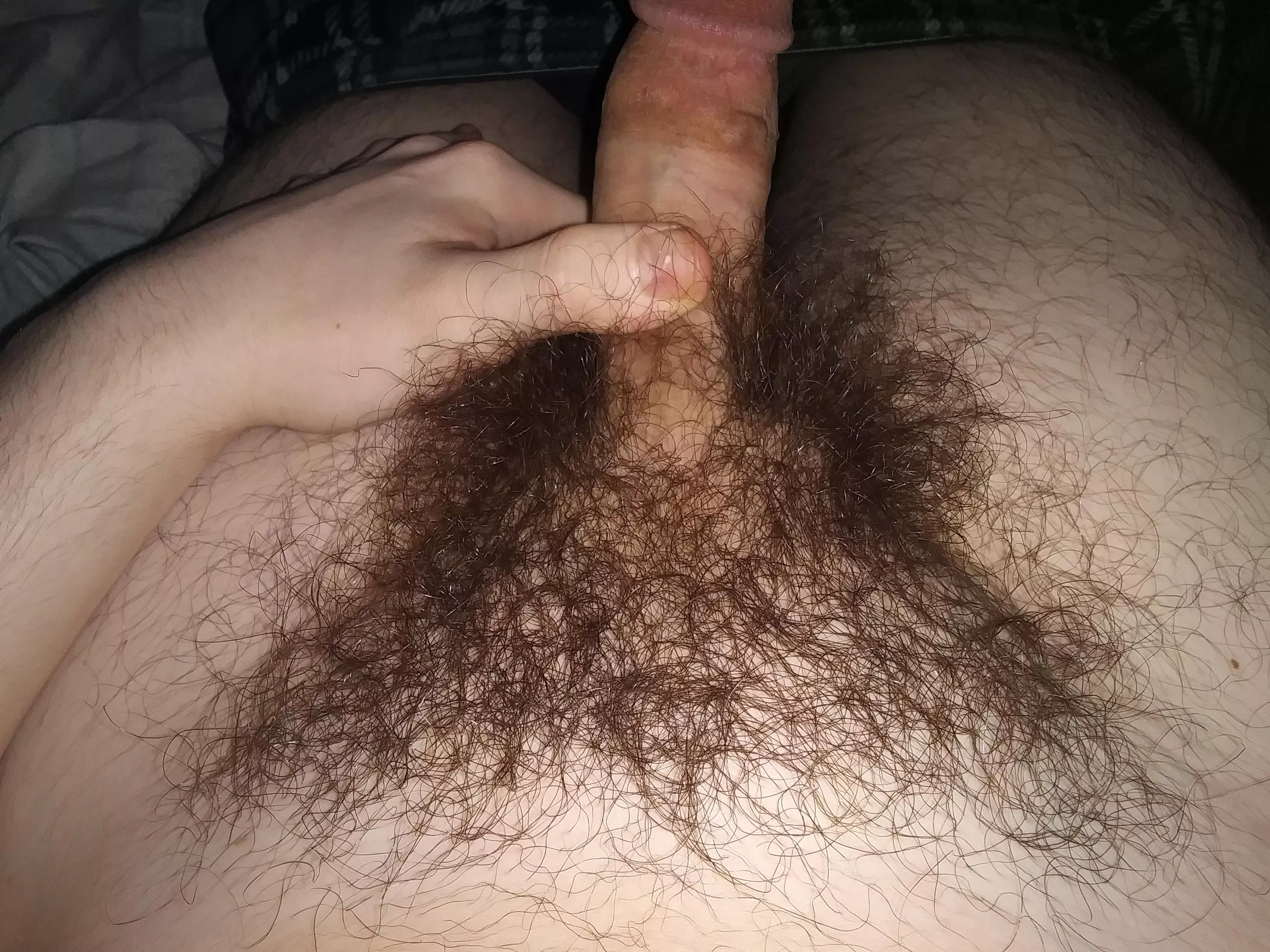 My dense jungle posted by Bootyflooty