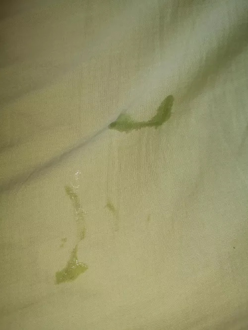 My dick leaves snail traces on my sheet 😝 I can't sleep on my stomach 😏 by tinypptwink