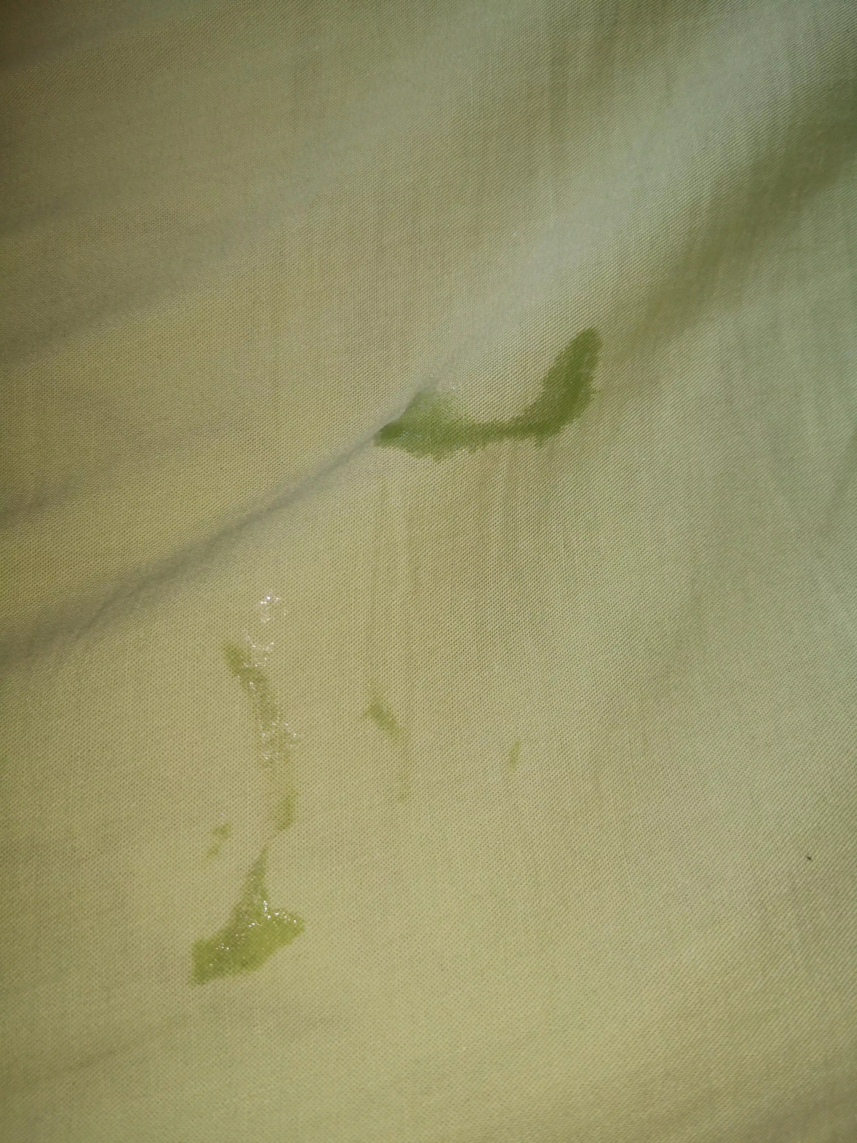 My dick leaves snail traces on my sheet 😝 I can't sleep on my stomach 😏 posted by tinypptwink