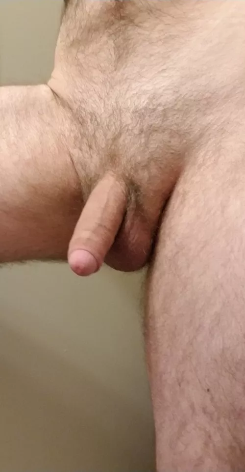 My dick looks completely different when I'm soft [25] by notthepresidenttttt