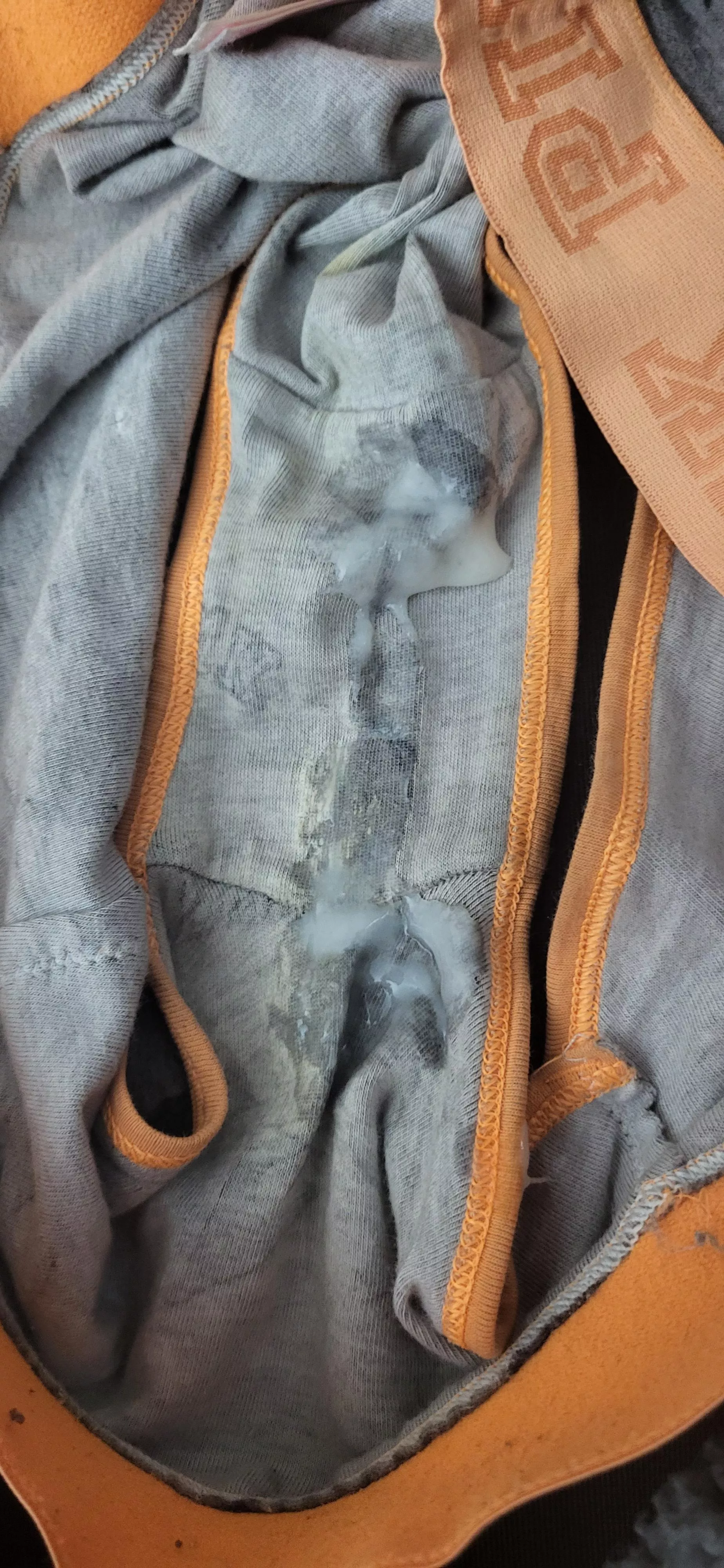 my dream is for girls from all over to send me their used panties so I can use them for my personal cum rag and show them. the ultimate panty lover dream. posted by DK6893