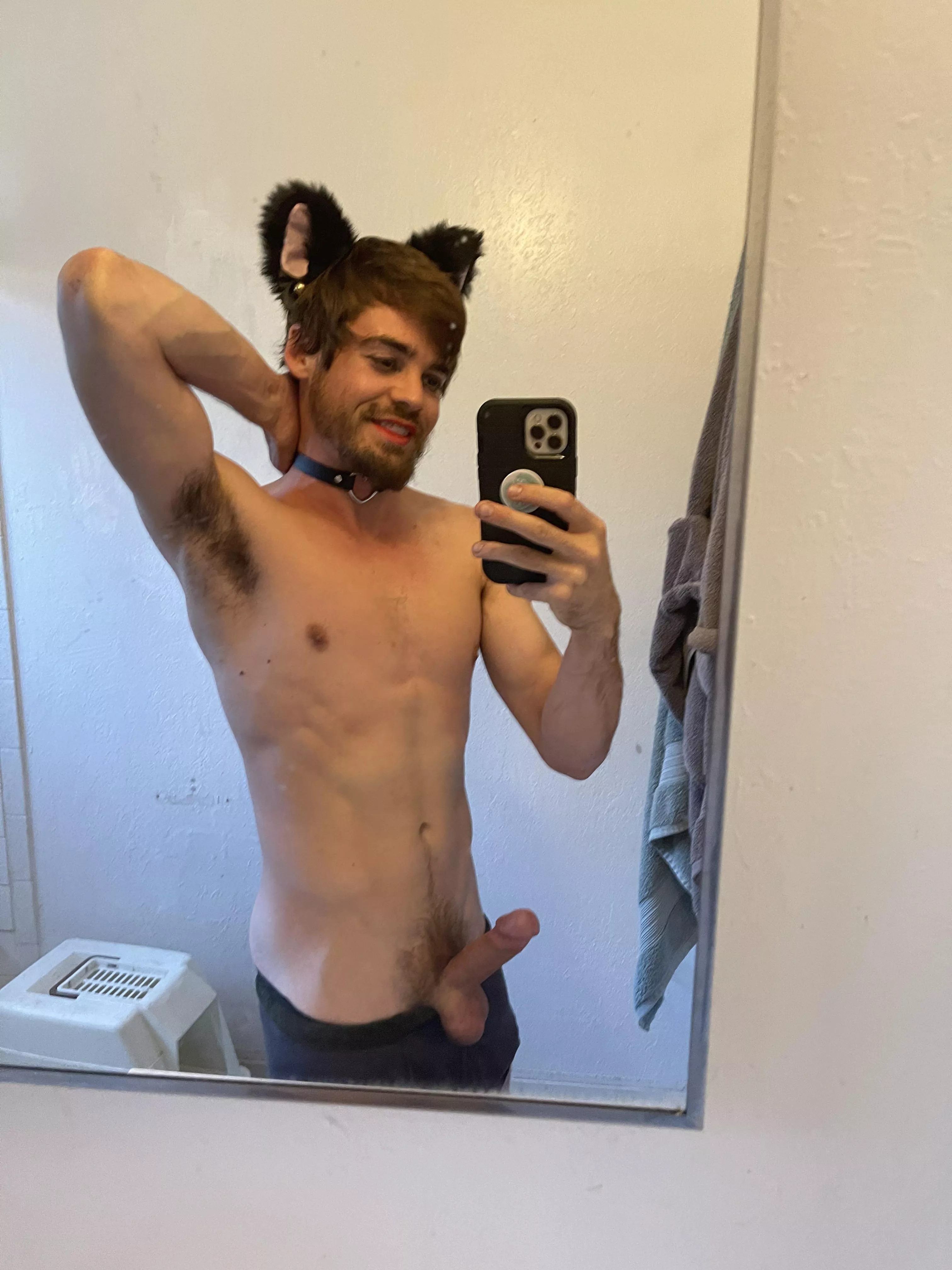 My ears finally came in! [25] posted by stonestockton