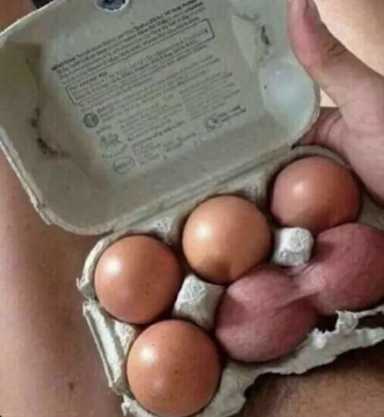 my eggy nuts posted by Funny_Sort_5401