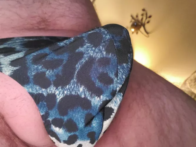 my favorite pair by Biggin40699