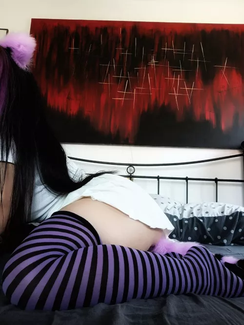 My favorite socks by emily_glass909