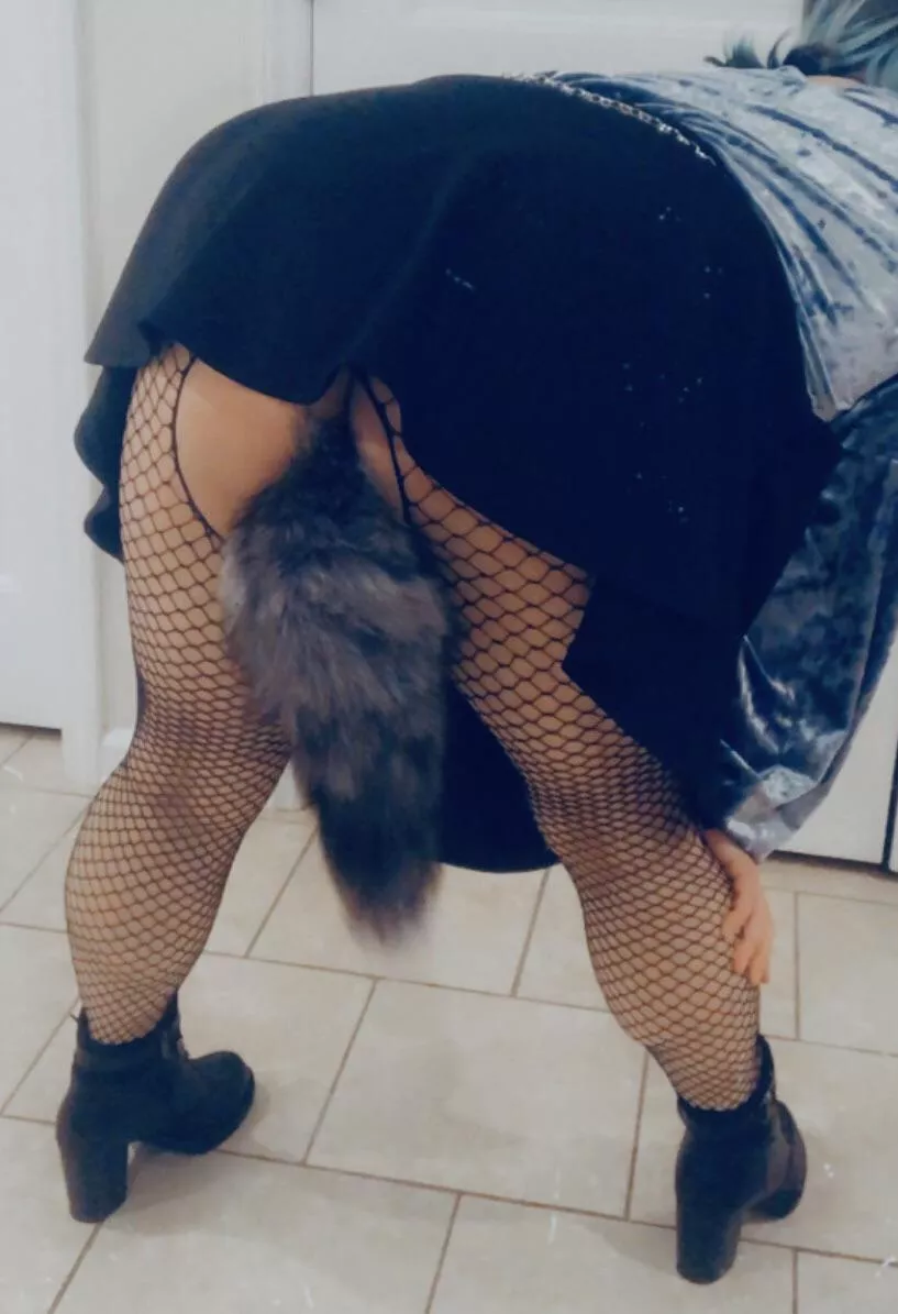 My favorite tail plug ❤️ posted by LunaFae_Official