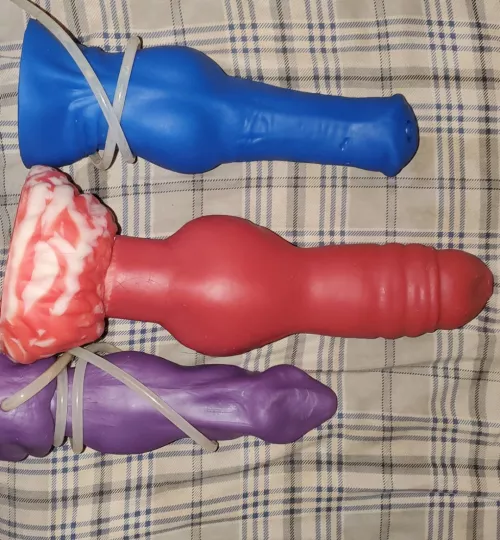 My favorites, which do u think is the best. Two are L and one is XL by Shot_Introduction681