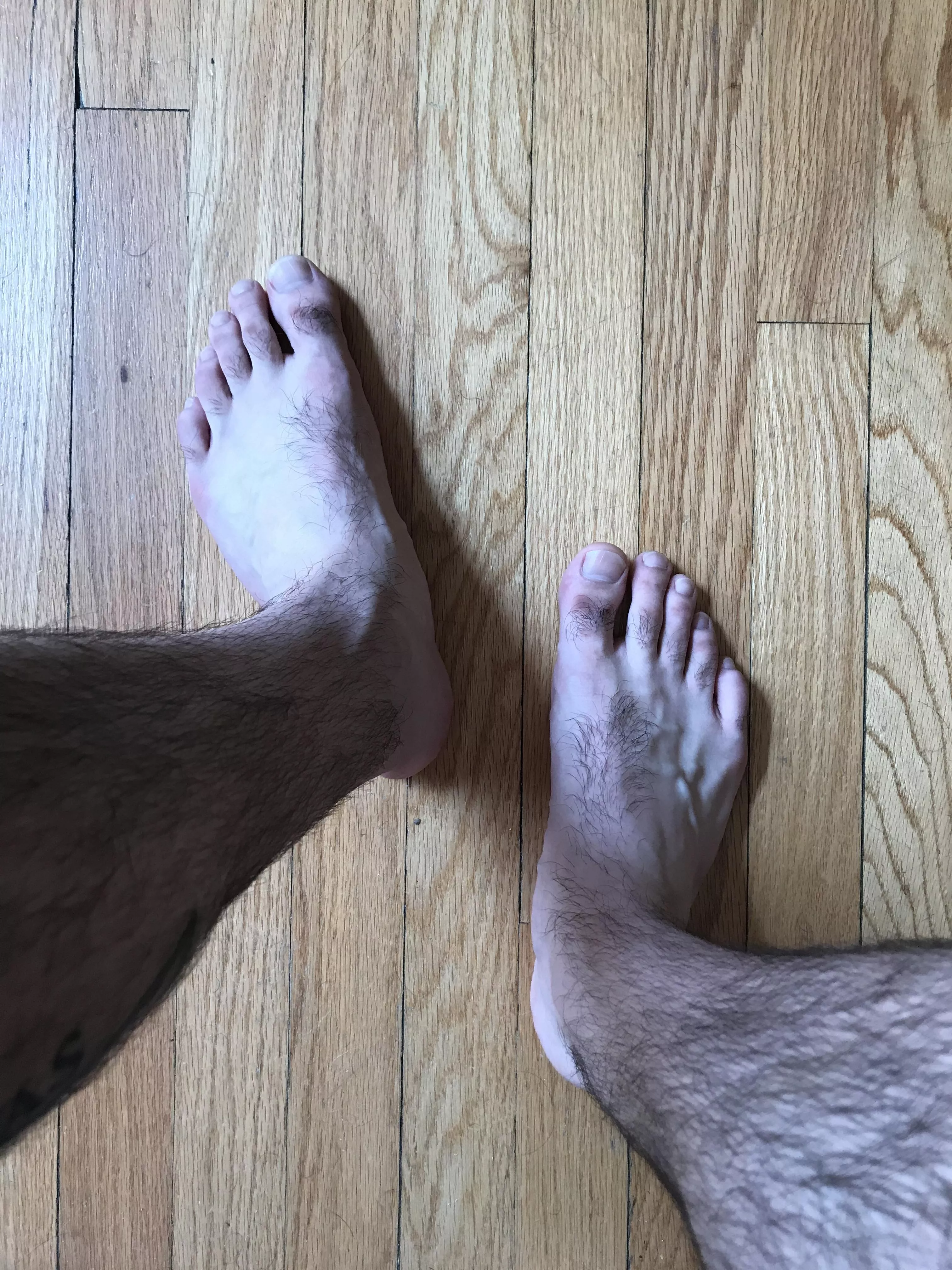 My Feet, You Like? 26M, Gay, 10US, Hairh, Sweaty ;) posted by ratioheadsail