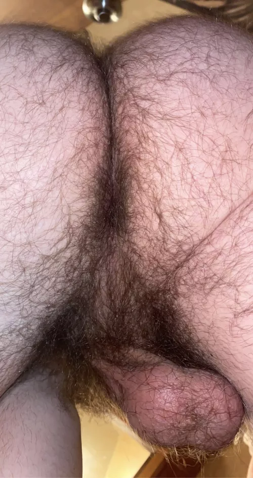 My firet poat. Enjoy my hairy ass and balls by draftyterracotta