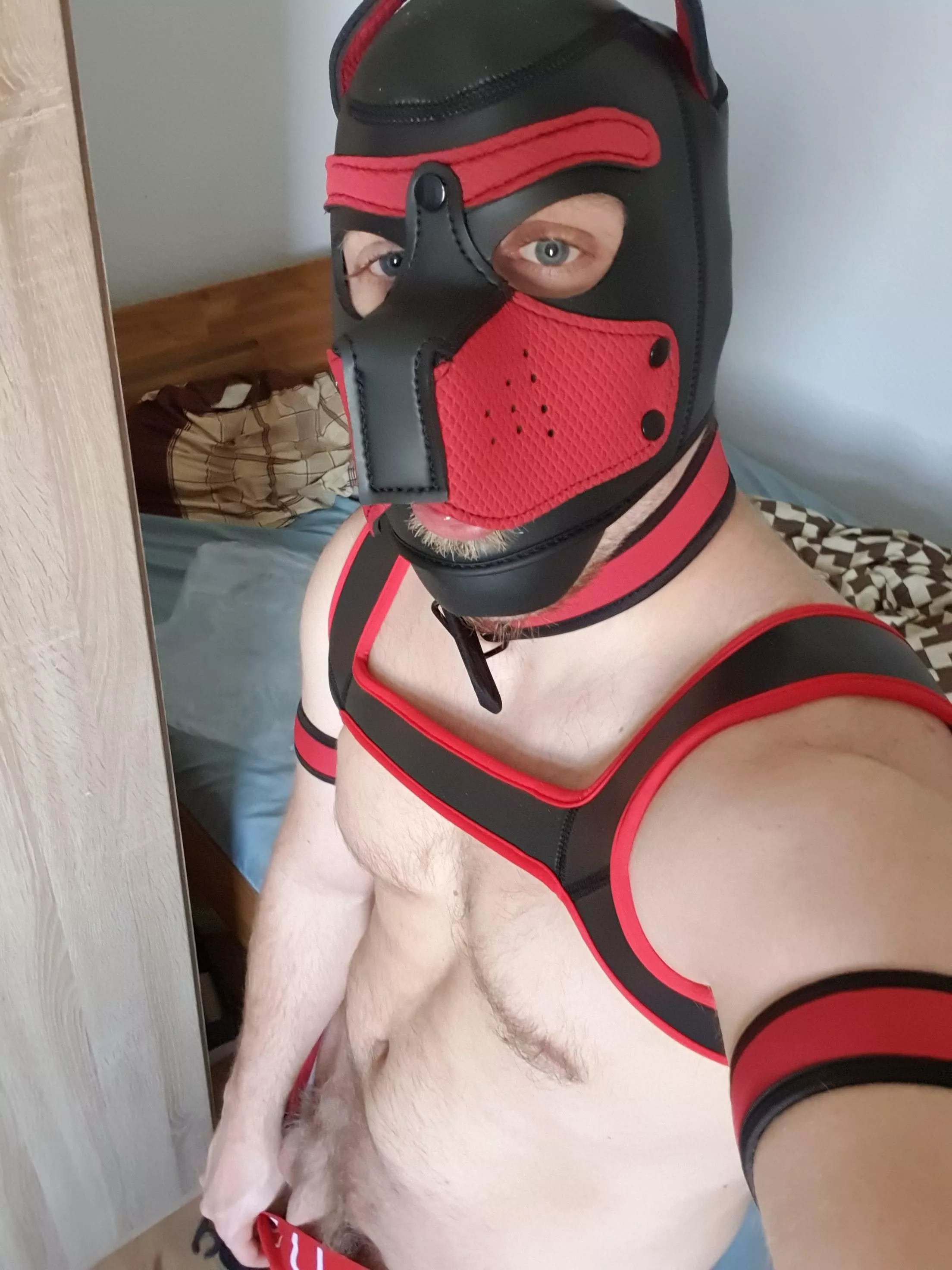 my first mask and Set. Am I a good boy?or should I be a Bad boy posted by GayNRWman