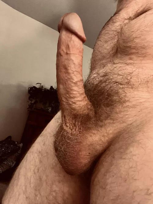 My first post ever. Excited and nervous! by Life_Championship212