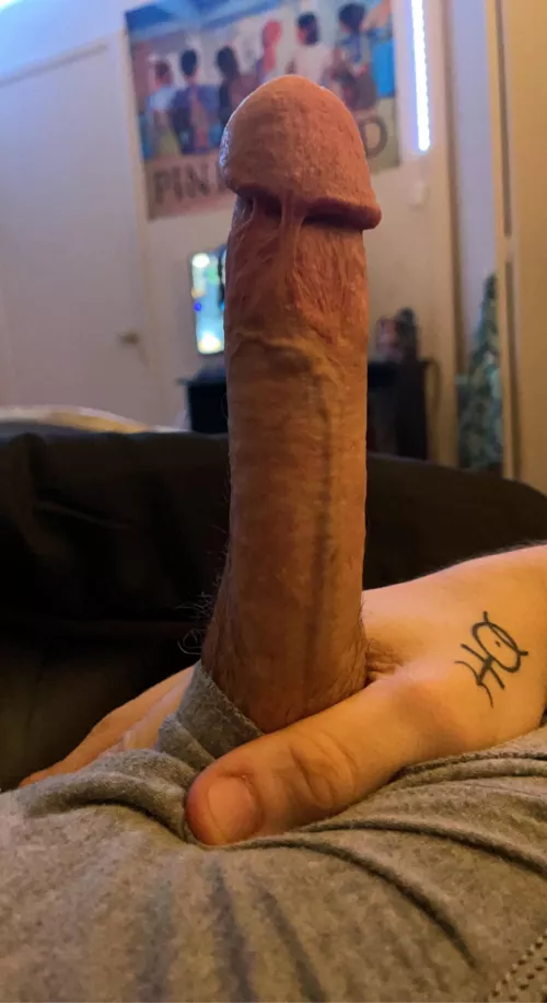 My first post hmu😋 by Friendly_Garbage_966