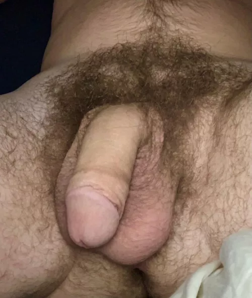 My flaccid dick by noisedives