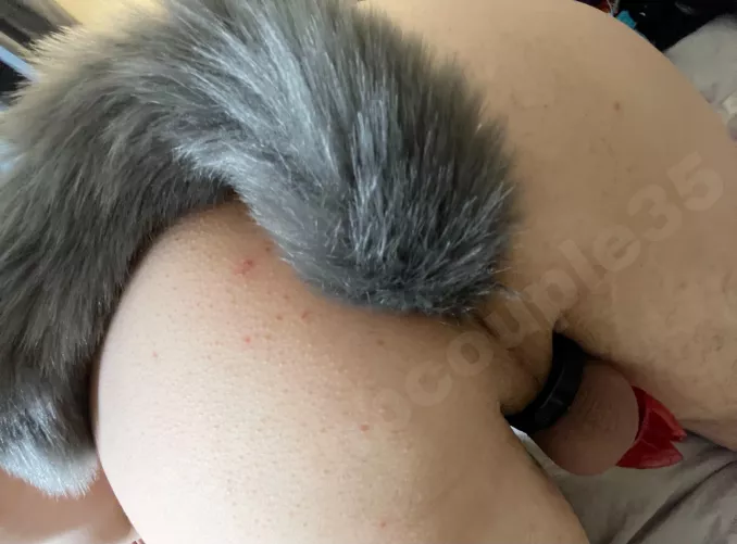 My Foxxy tail and cage 💕❤️🔒 by rnbcouple35