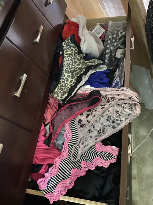 My friend’s moms pant drawer this am . by Beautiful_Put_7459