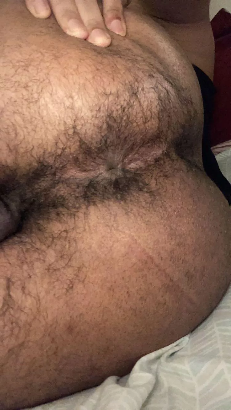 My furry hole 🥺🤤 posted by BiTwink7769