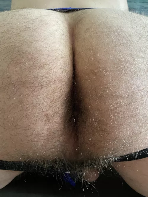 My furry, tight hole by Subbear83