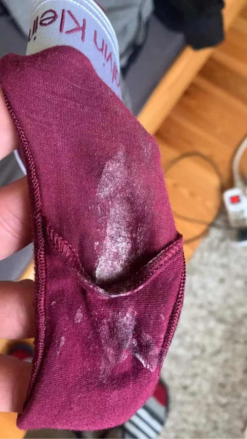 My gf panties after all day wearing by Mammoth-Ad-1571