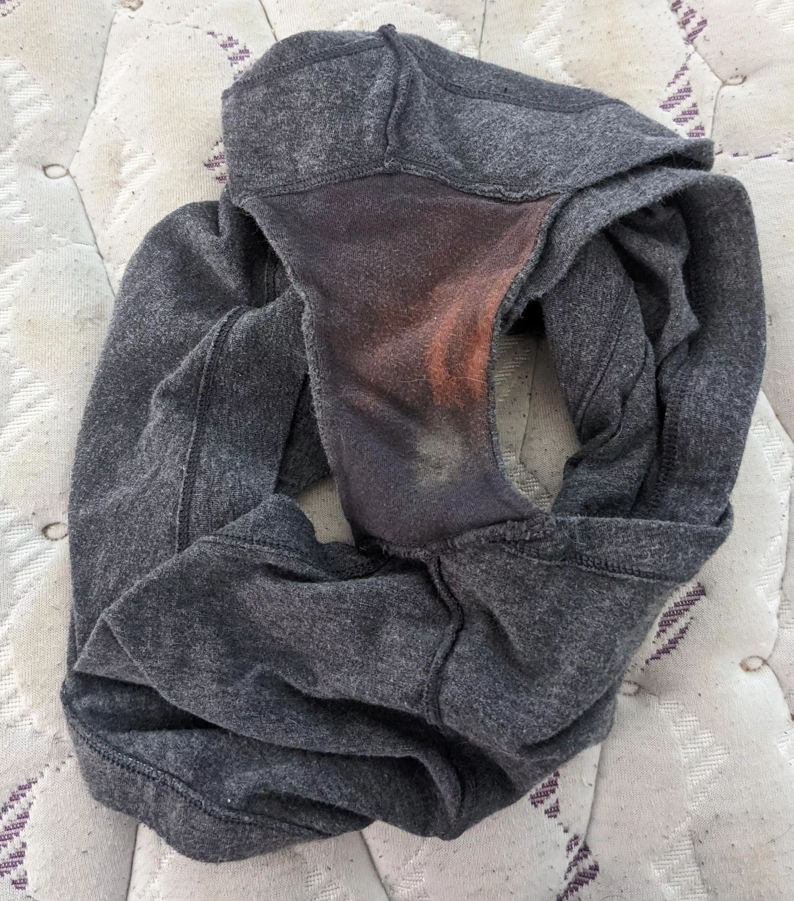 My gf's cousin wore these to the gym yesterday. The smell and taste of her pussy and ass sweat was beyond sexy! posted by Kyle_Singer