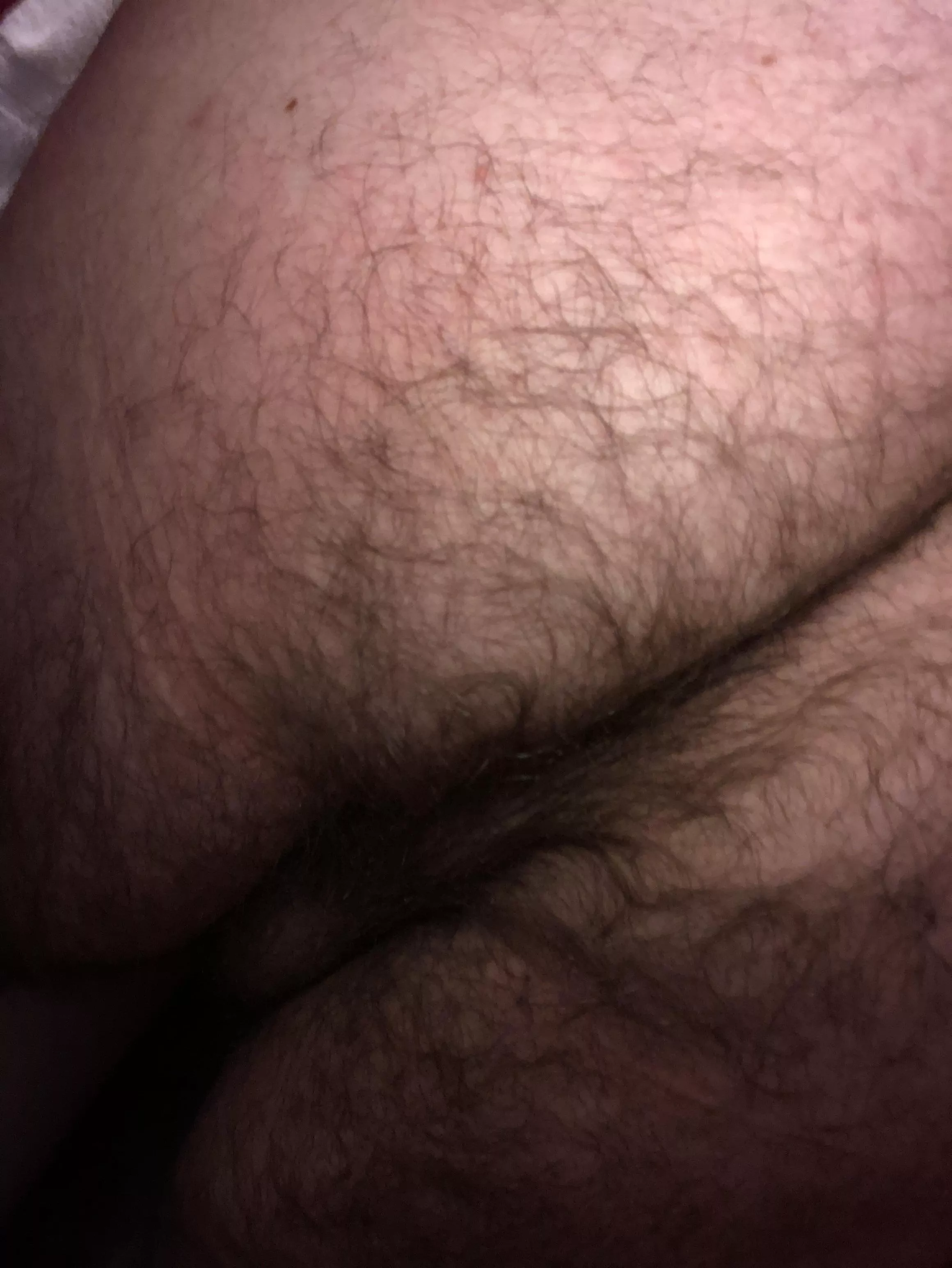 My hairy ass (45) posted by millerRRT2001