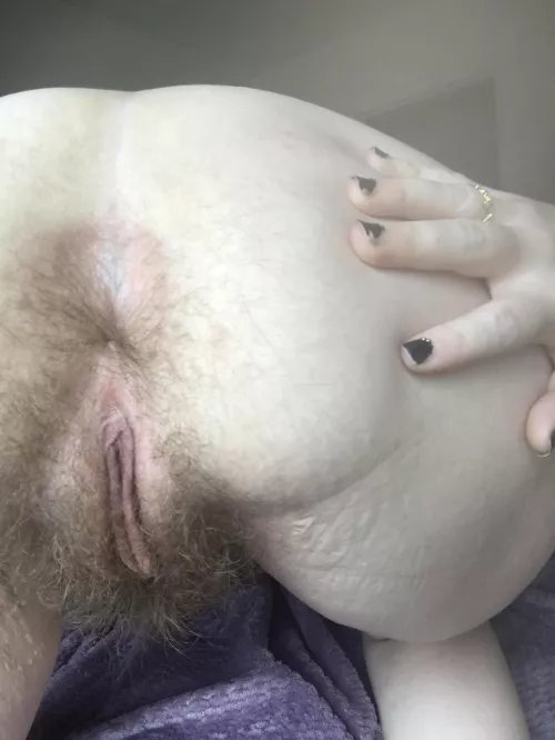 My hairy asshole wants to be tongue Fucked (: by SpitInMyMouth420_
