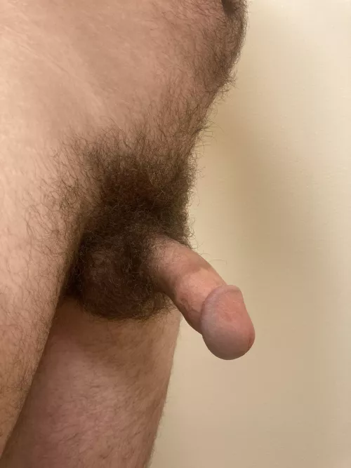 My hairy dick by engineeringbridge