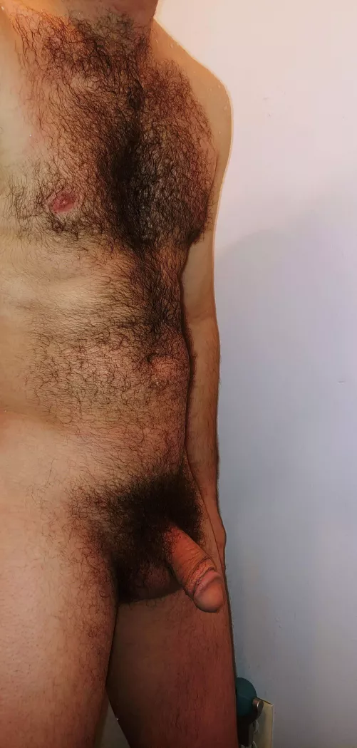 My hairy dick. Chat with me! I wanna see huge bushes and hairy balls by Narrow-Elderberry121