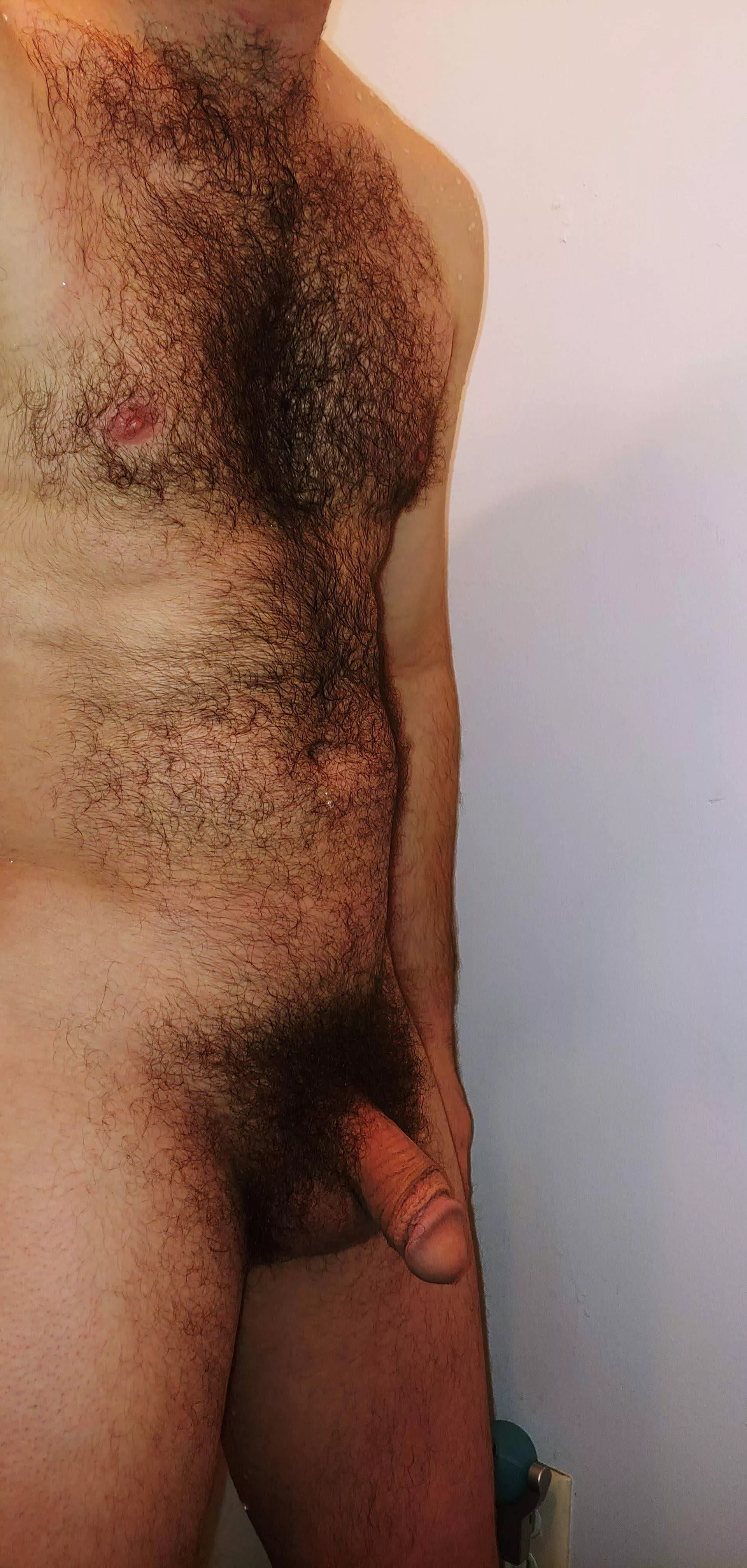 My hairy dick. Chat with me! I wanna see huge bushes and hairy balls posted by Narrow-Elderberry121