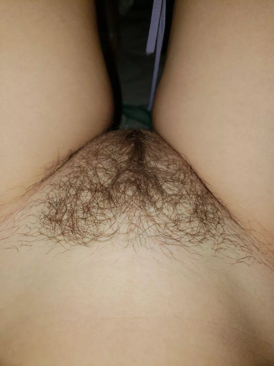 My hairy hole💖 posted by kitty_sluthole