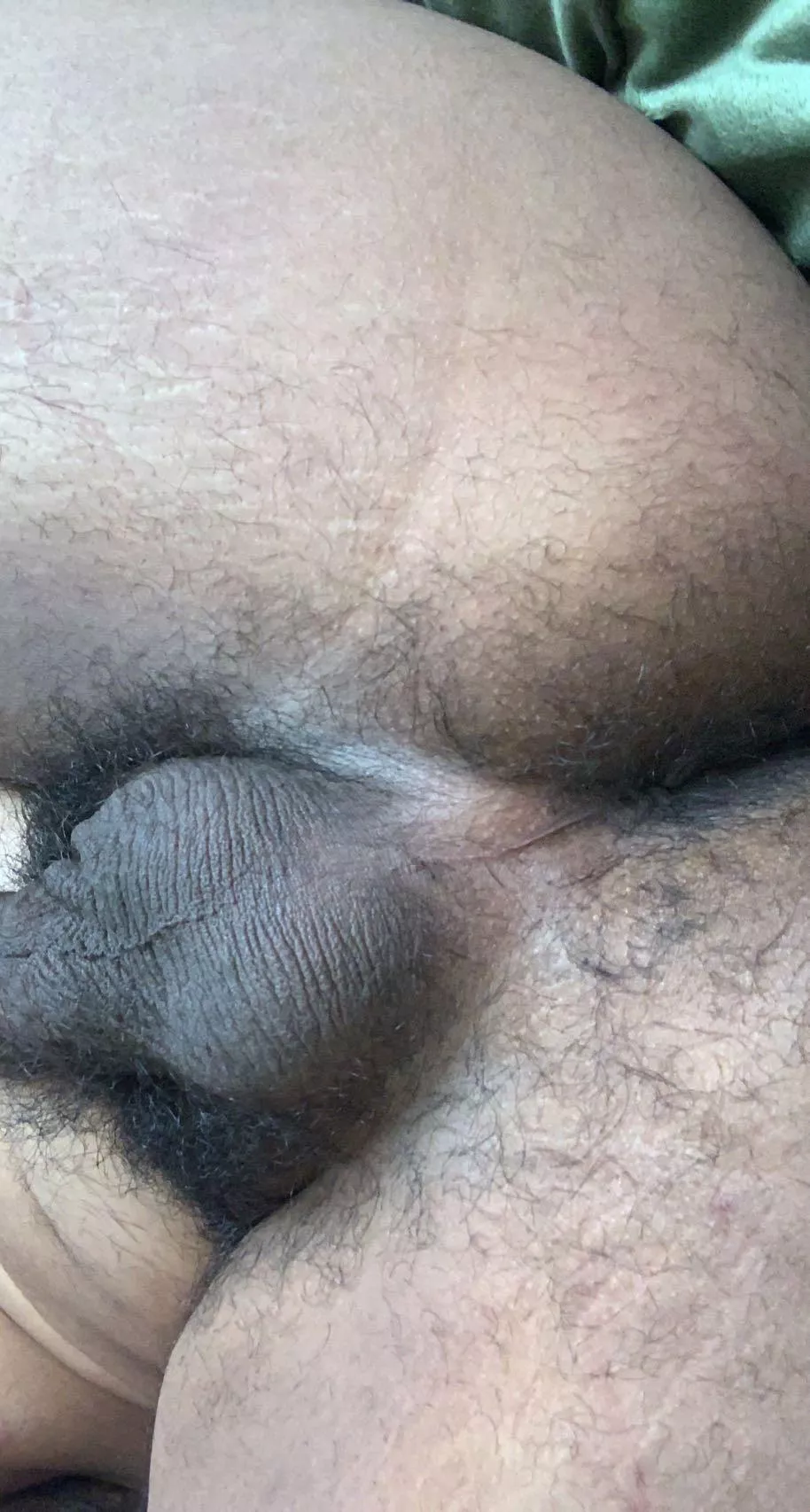 My hairy hole is so hungry for cum posted by The-Bedeviler