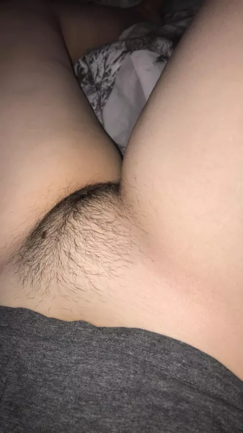 My hairy mound 🙈 by carlyp56