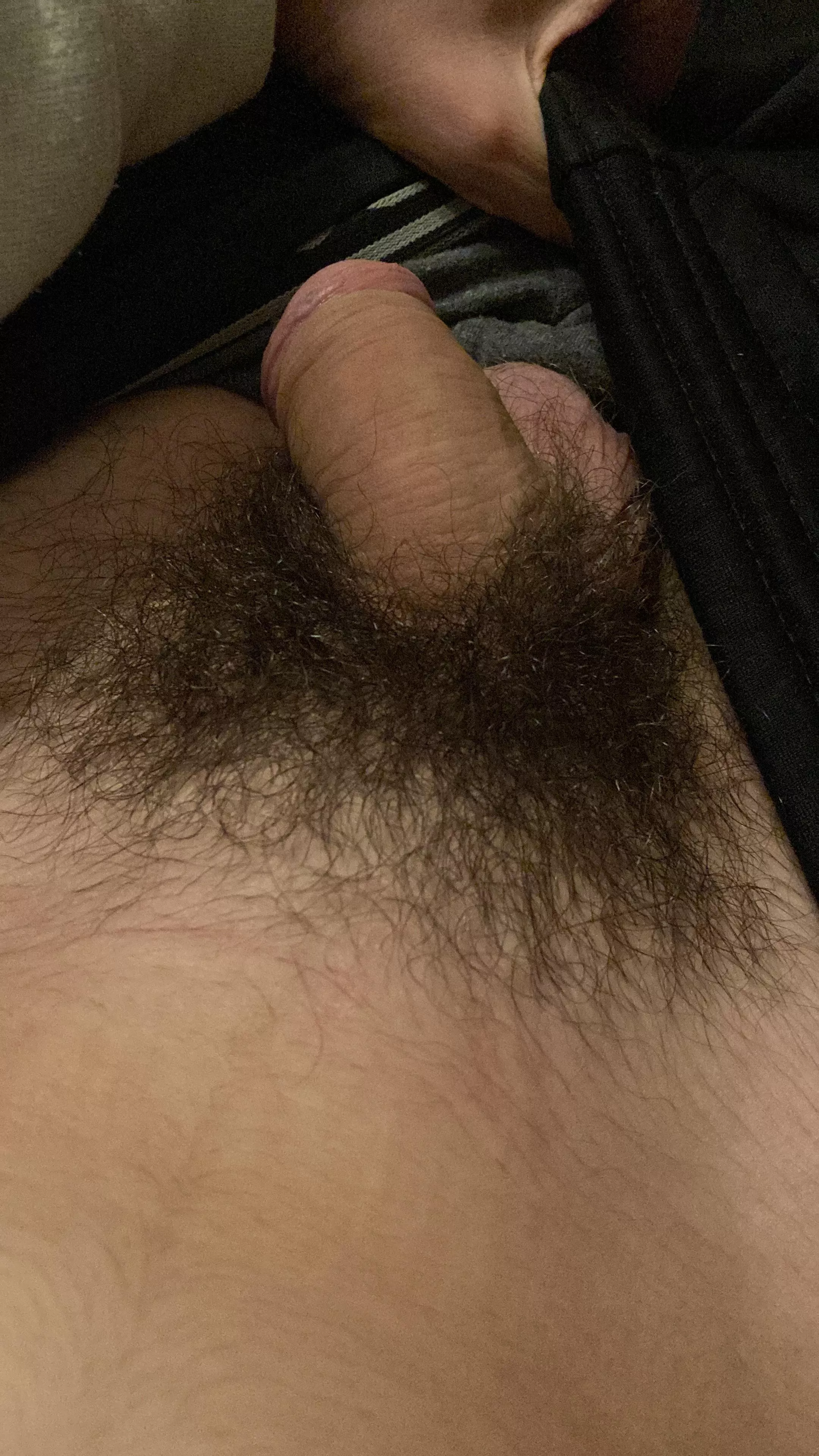 My hairy Softie posted by Zemo1903